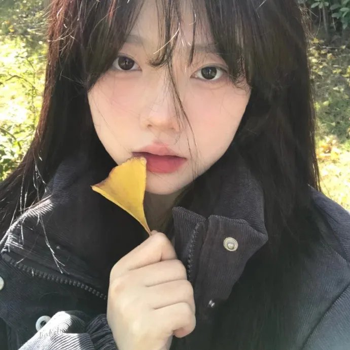 小鱼儿与花无缺